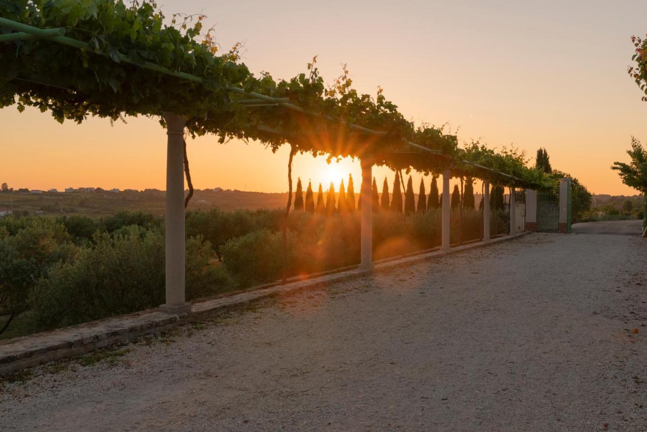 Villa Albina & Domenica Ζαντάρ Εξωτερικό φωτογραφία