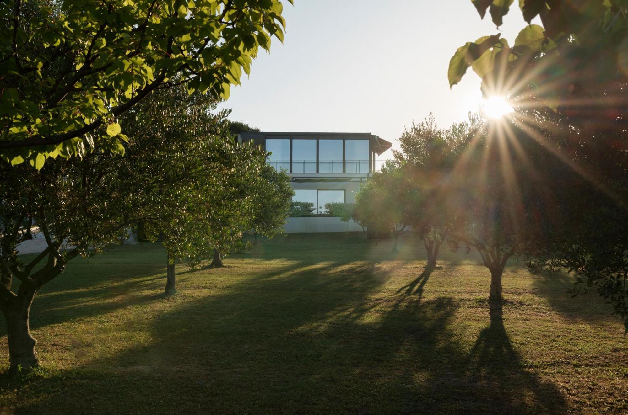 Villa Albina & Domenica Ζαντάρ Δωμάτιο φωτογραφία